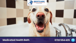 dog medicated bathing nairobi kenya mobile groomers and grooming services