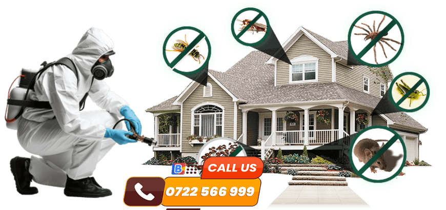 0 pest control service nairobi kenya