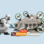 Jacaranda Estate Pest Control and Fumigation Services › 0722554435