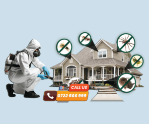 Pest Control Services Fumigation Services Nairobi Kenya